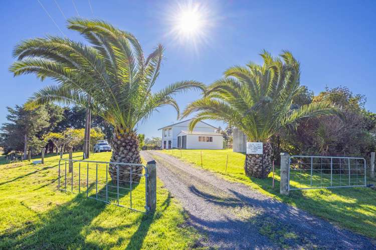 261A Wattle Road Te Kauwhata_37