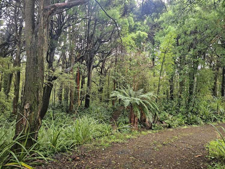 26 Rakiura Parade Otatara_17