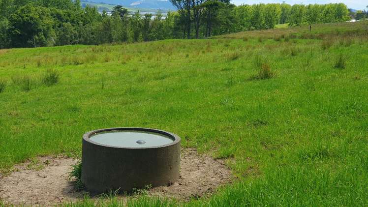 237 Hewlett Road Mata_29