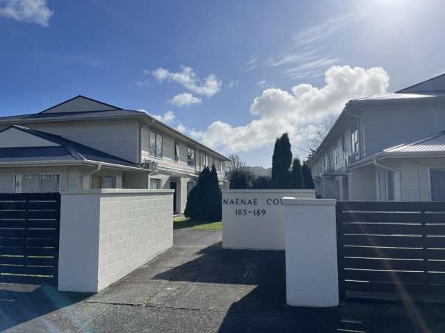 19/185-189 Naenae Road 1315_1