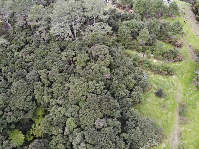 Sheffield Road Helensville_1