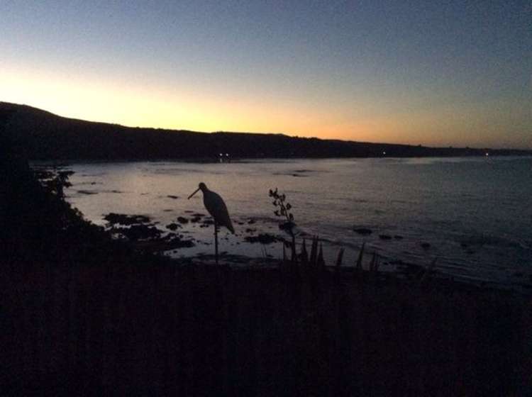 67 Shag Point Road Palmerston_13