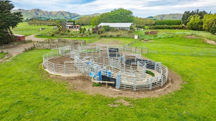 62 Waiau West Road Cheviot_9