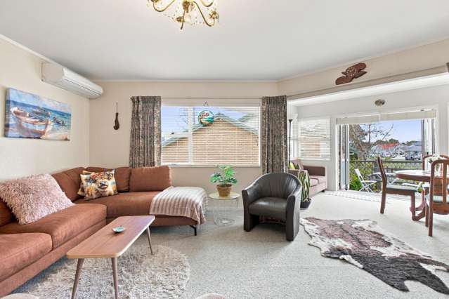 7 Wesley Court Te Aroha_2
