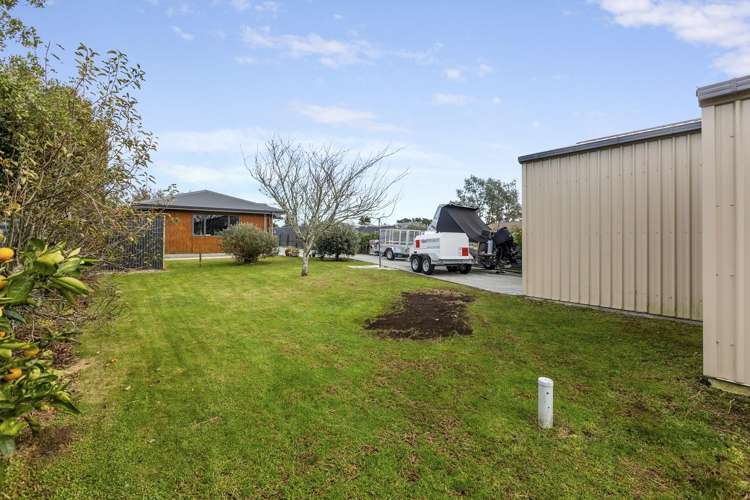 15A Carthew Street ōkato_25