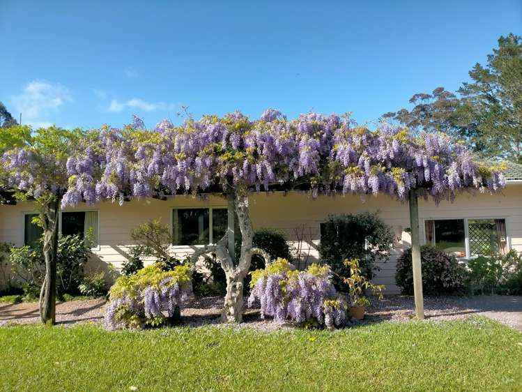 138 Kapiro Road Kerikeri_23