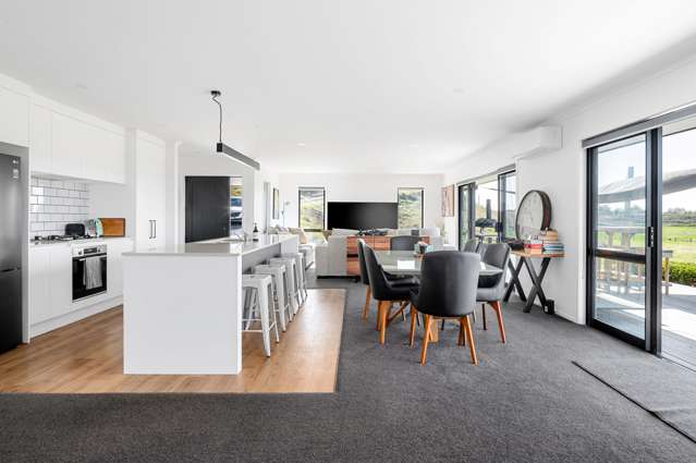 411 Tuhikaramea Road Temple View_2