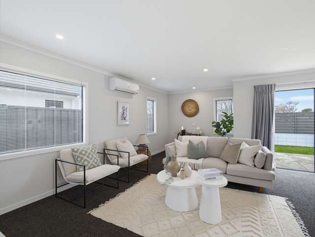 206 Park Road North Parkvale_4