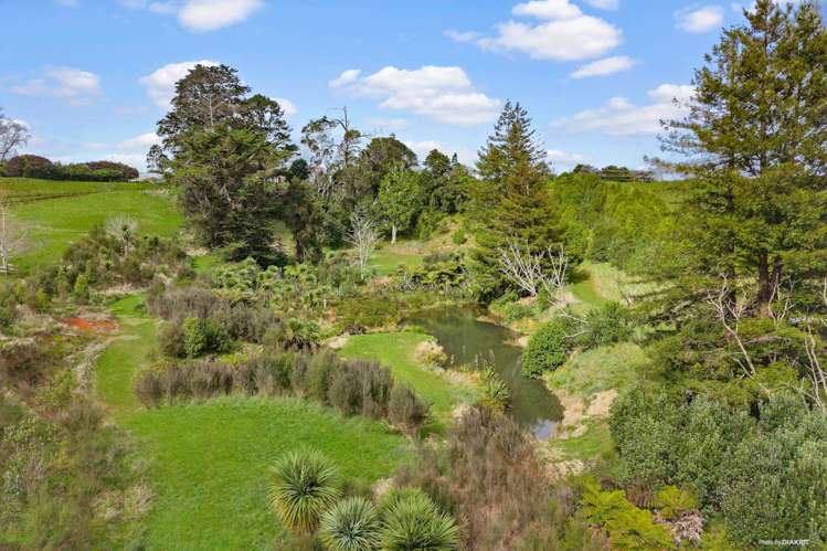 139 Dominion Road Tuakau_31