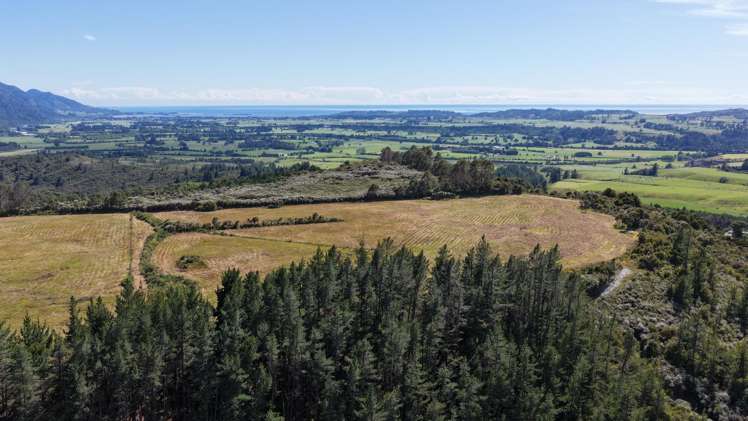 1419 Collingwood-Bainham Main Road Collingwood_11