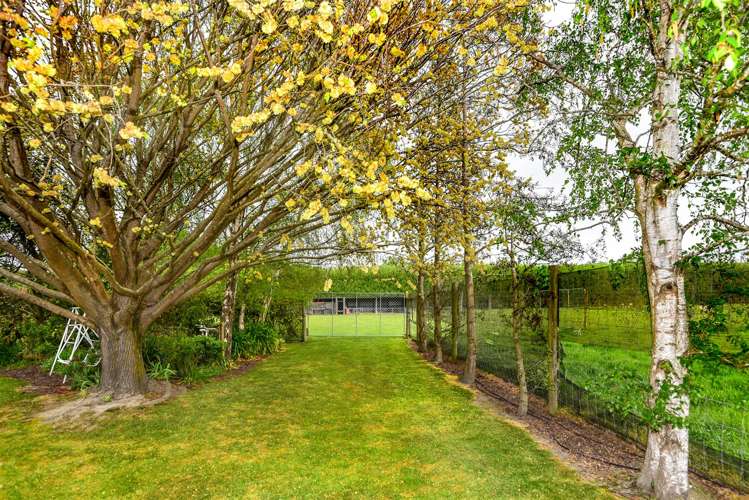 307 Tancreds Road Lincoln_18