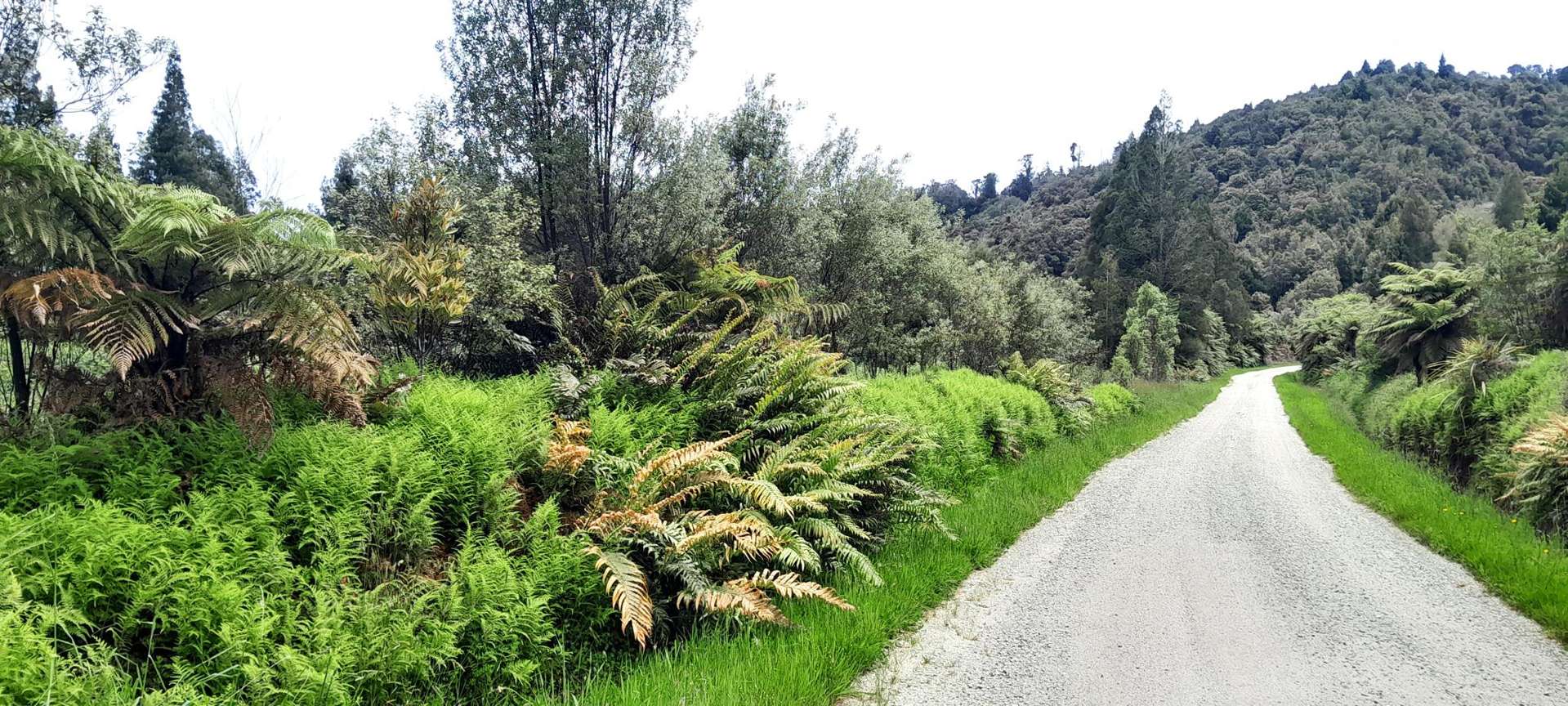 Wangapeka Road Karamea_0