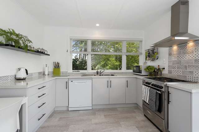 87 North Street Morrinsville_3