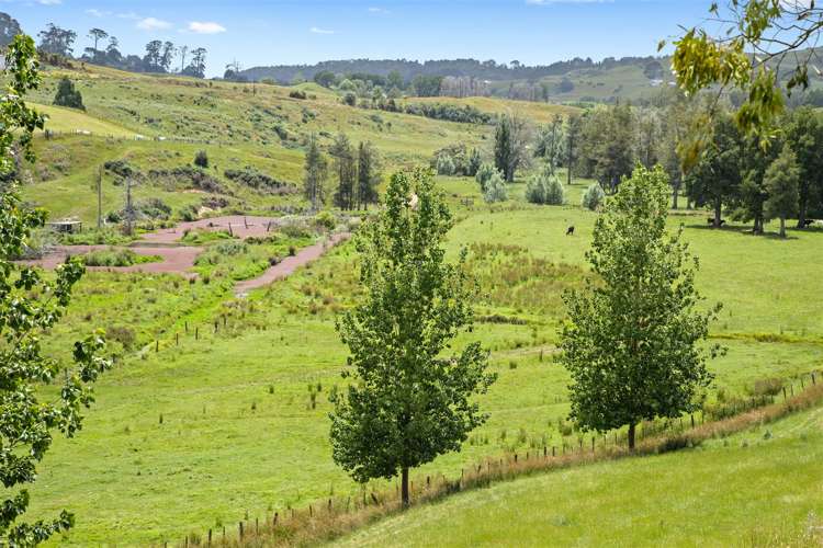 200 Highway 22 Pukekawa_18