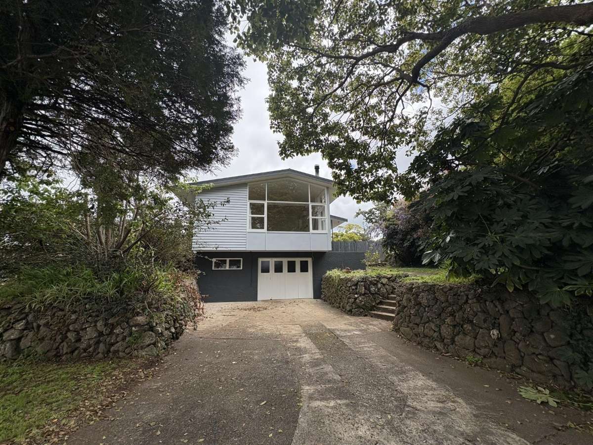 Spacious Backyard, Great Location 1