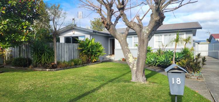 18 Frickleton Street Taradale_11