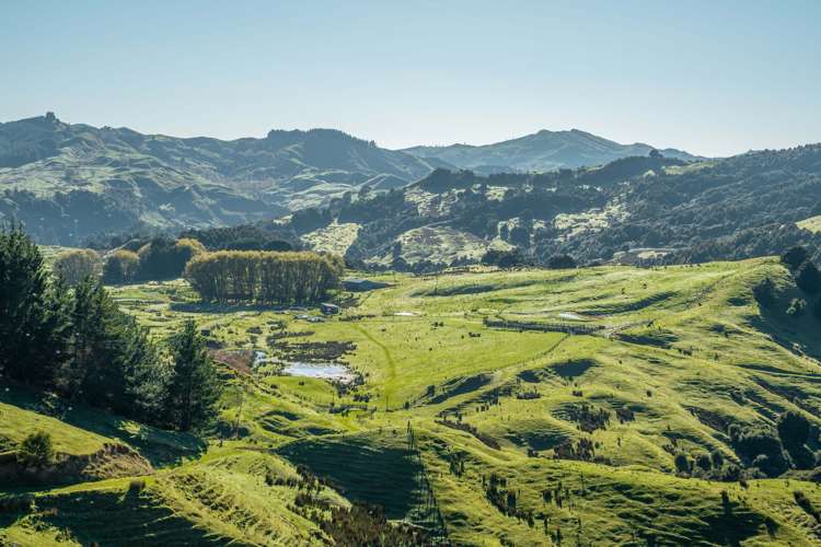 229 Rangikohua Road Tolaga Bay_13