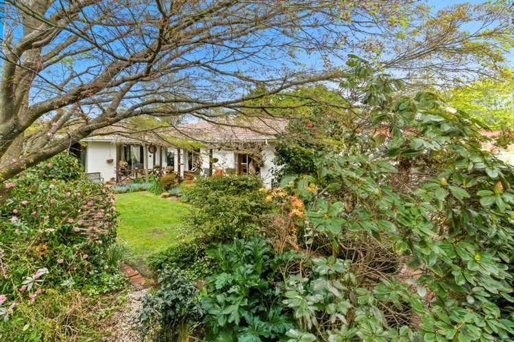 17 Marley View Street Somerfield_31