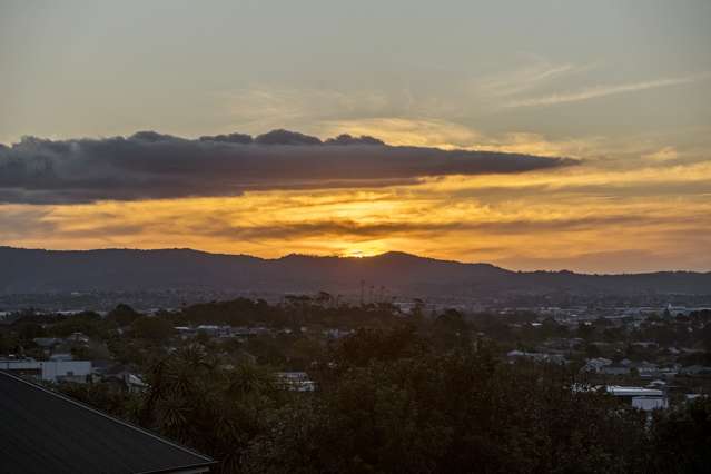 25g George Street Mount Eden_4