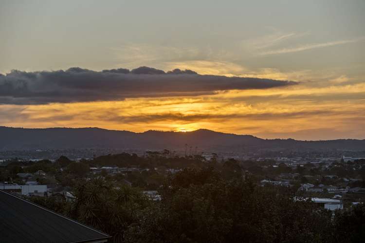 25g George Street Mount Eden_4