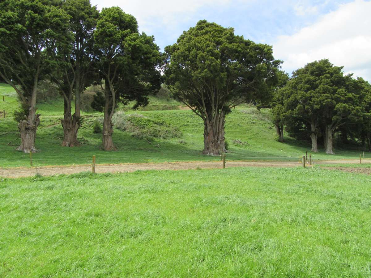 227 Whenuahou Road_3