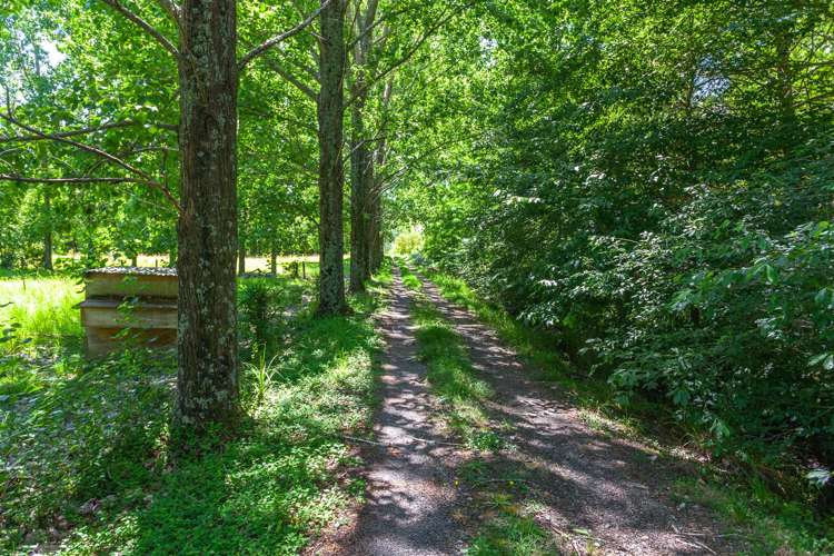 345 Hikuai Settlement Road Hikuai_18