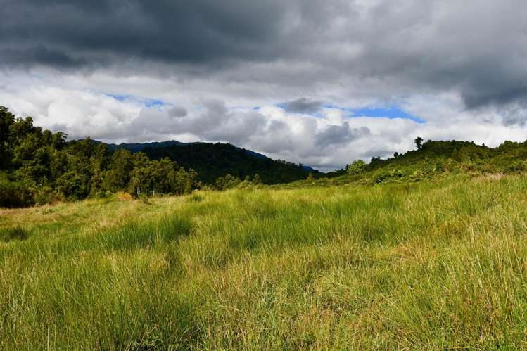 40Ha Block State Highway 67 Mokihinui_20