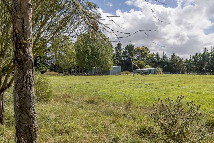 246 Amberley Beach Road Amberley_20