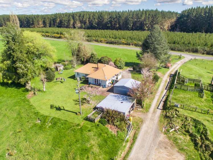 667a Kopuriki Road Murupara Surrounds_13