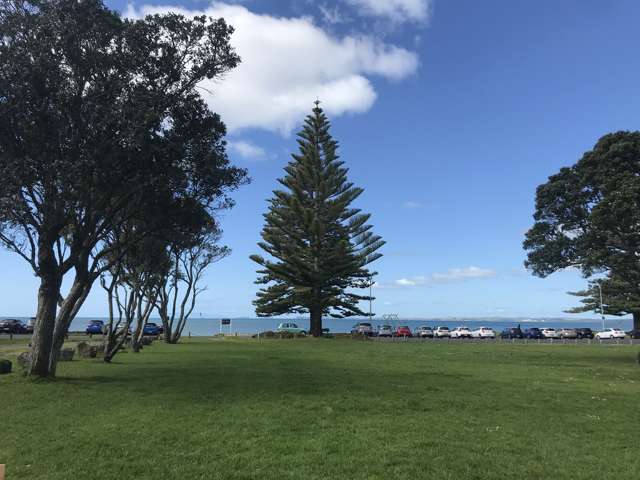 2/11 Montrose Terrace Mairangi Bay_1