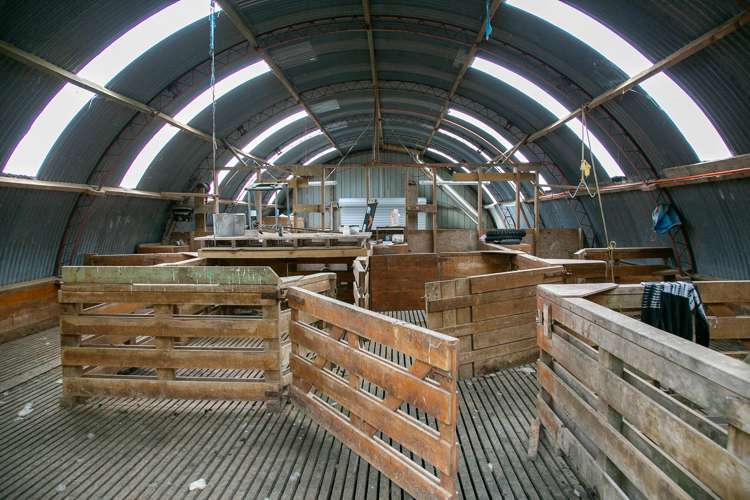 2/205 Oliver Road Te Miro_24