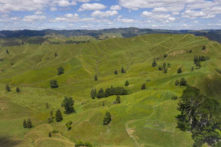 510 Barclay Road Aria_6