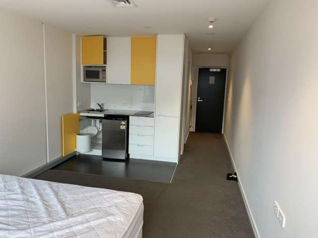 303/5 Dundonald Street 10021_3