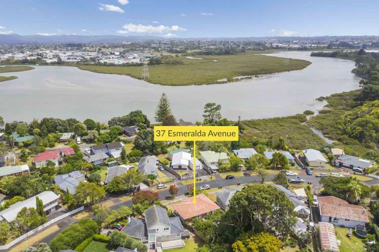 37 Esmeralda Avenue Avondale_16