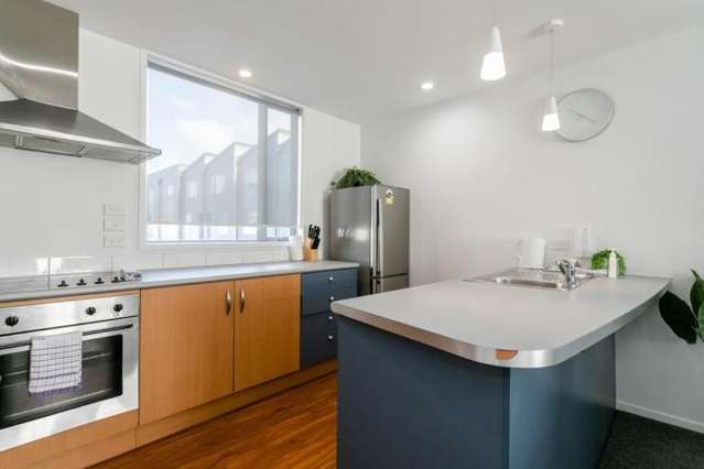 42 Ngaoho Place Parnell_2