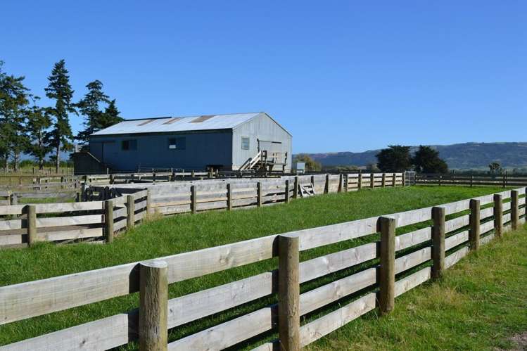 230 Bush Road Mosgiel_6