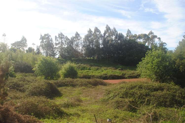 751b Runciman Road Runciman_11