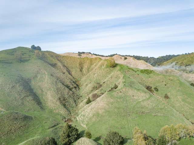 855 Okahukura Saddle Road Waimiha-Ongarue_3