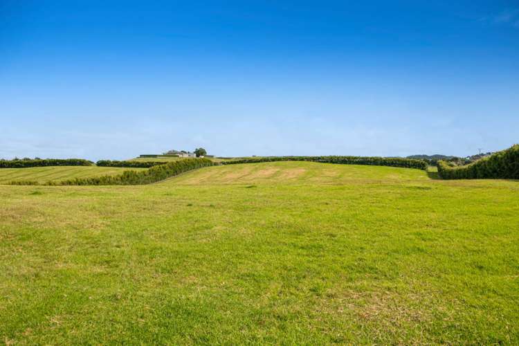 79 Fuller Road South Head_38