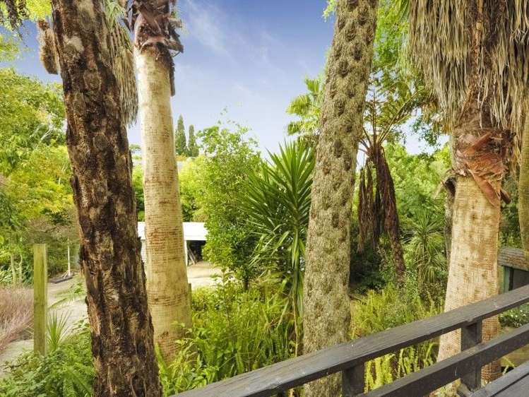 9 Geraldine Place Kohimarama_18