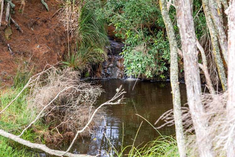 199 Mcpike Road Waimauku_24