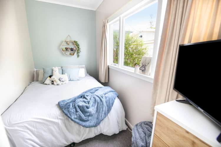 60 Mcgrath Street Napier South_10