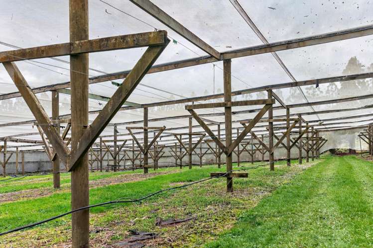 Lot 1/69a Vineyard Lane Mangawhai_7