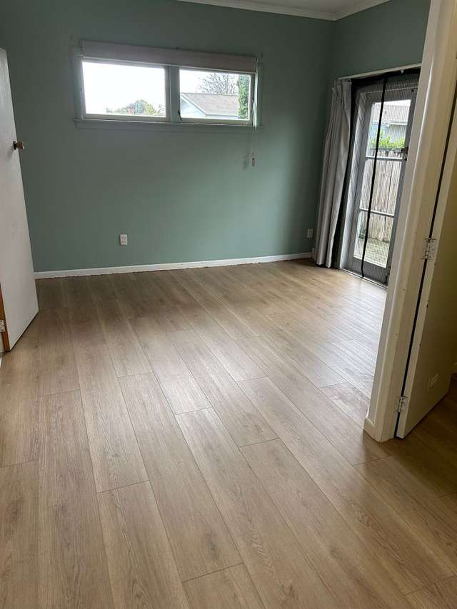 68 Galloway Street Hamilton East_2