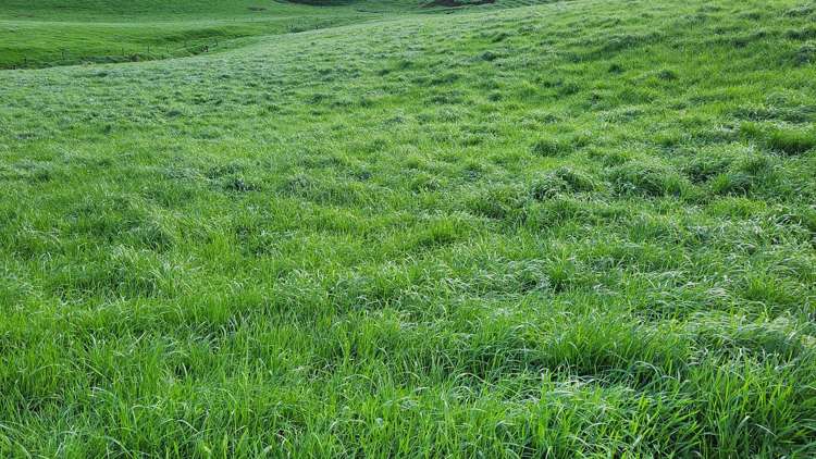 348 Ratapiko Road Ratapiko_16