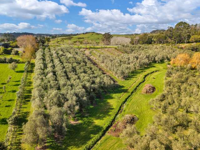 Lot 3, 2282 Cove Road Mangawhai_2