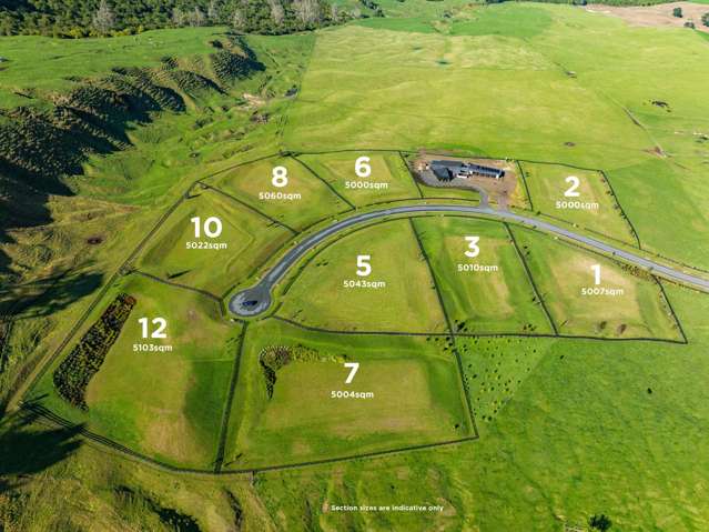 00 Kaiapo Bay Acacia Bay_3