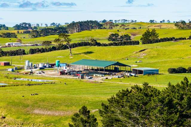 454 West Coast Road Te Kopuru_4