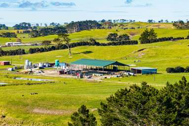 454 West Coast Road_4