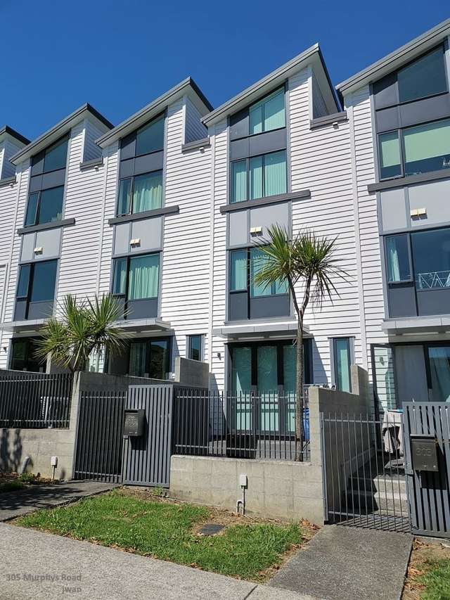 305 Murphys Road Flat Bush_1